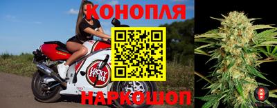 каннабис Будённовск