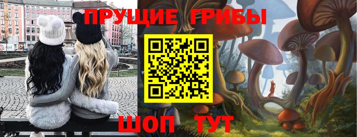 Псилоцибиновые грибы Cubensis  Вход с VPN  Маркс 
